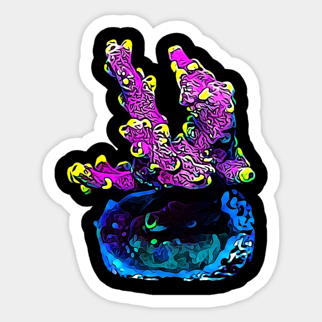 Kobe Bean Acropora Sticker by unrefinedgraphics